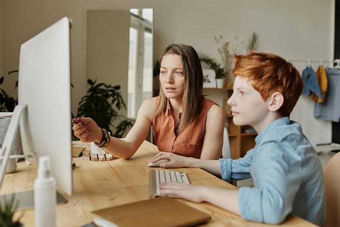 Professional Domestic Education and Care in the US